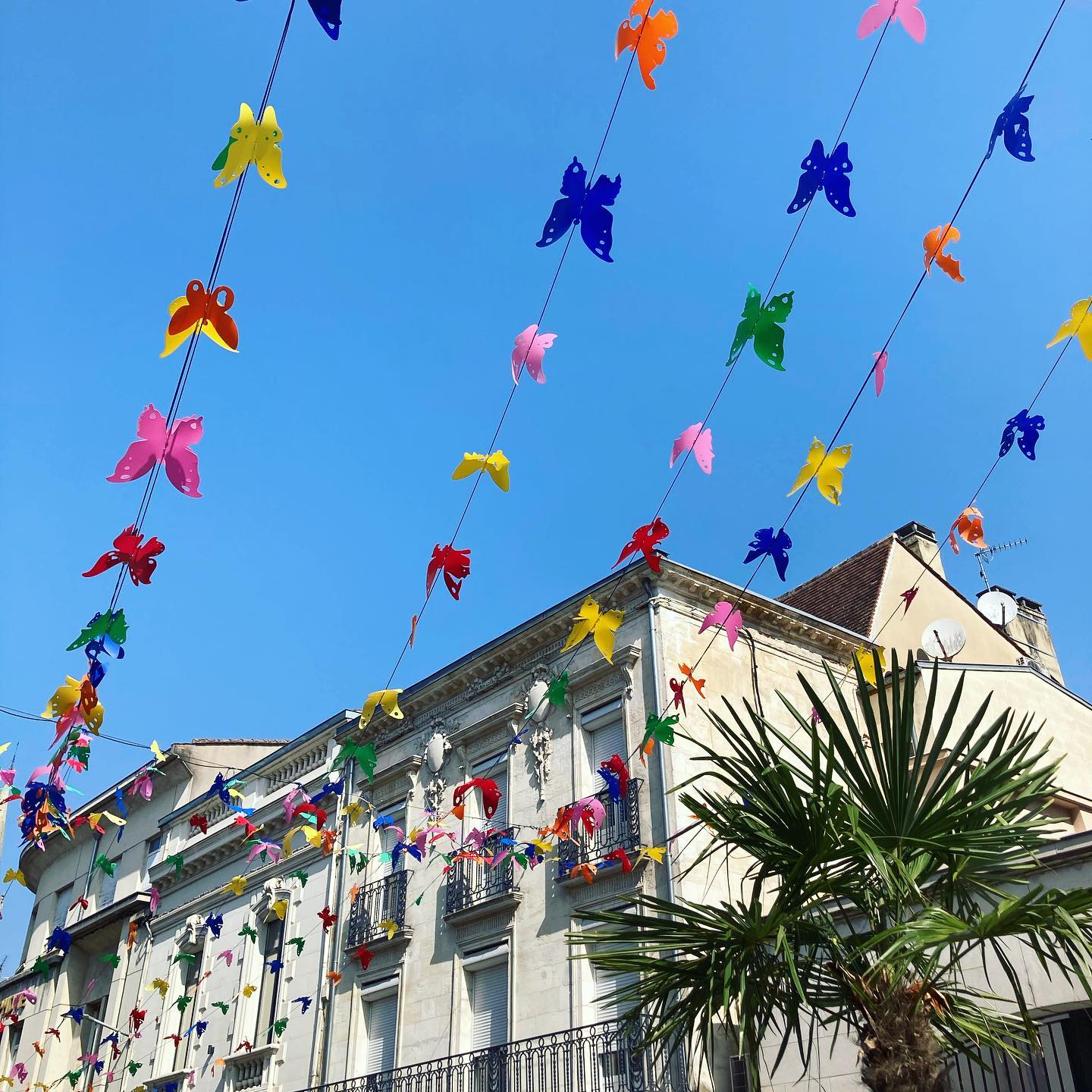 Après les parapluies, les ballons... voici les papillons 🦋 qui égayent les rues de la vieille ville de Bergerac. En plus du ciel bleu, ça anime bien les rues... les autres étant remplies de grosses fleurs 🌼 #bergerac #bergeractourisme #bergeracmaville #perigordnoir #paysdebergerac